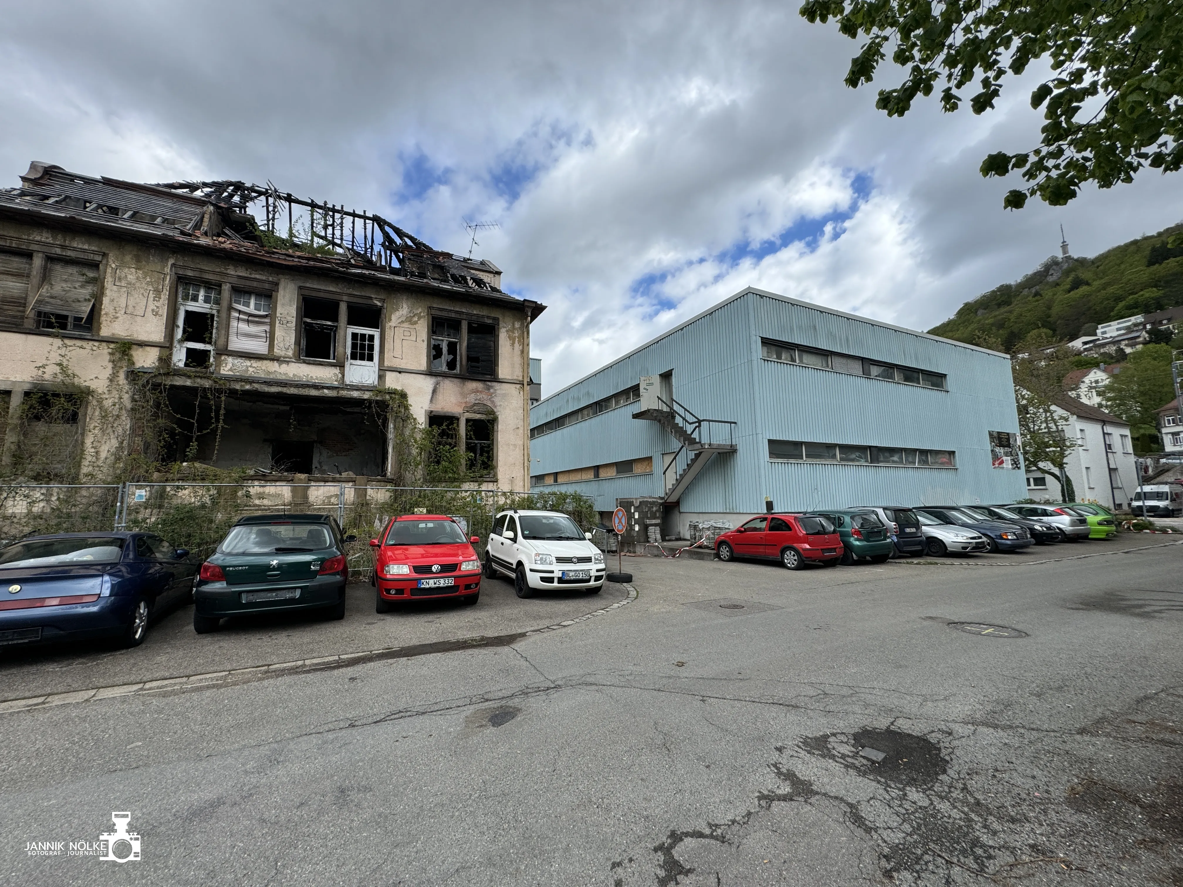 Bild der Galerie